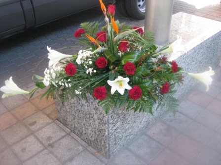 Centro 21